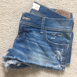 Palm Tree Holister Short